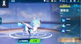 qq飞车手游官网最新宠物爆料,神秘宠物降临！QQ飞车手游全新宠物爆料抢先看